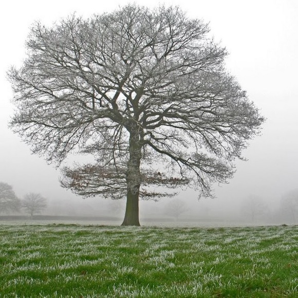 Meet your Posher, Ngoc yen - Picture 1 of 1